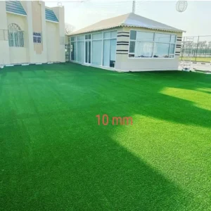 Grass Carpet Sample04