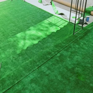 Grass Carpet Sample13