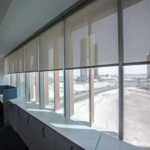 Roller Blind 17