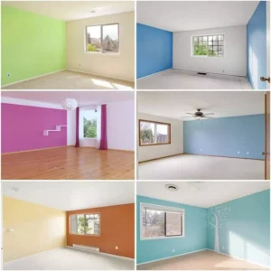 Home Paint Design