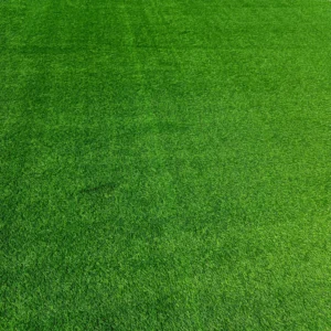 Grass Carpet Sample15