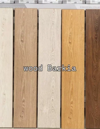 barkiya-sample23-695151ace2706