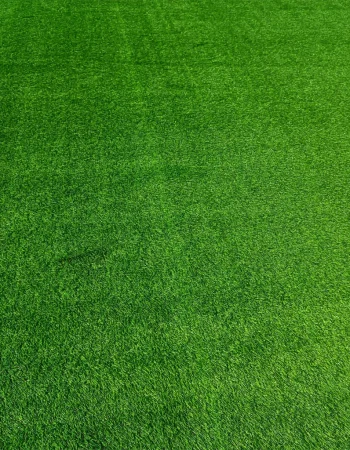 grass-carpet-sample15-6986004ad6253